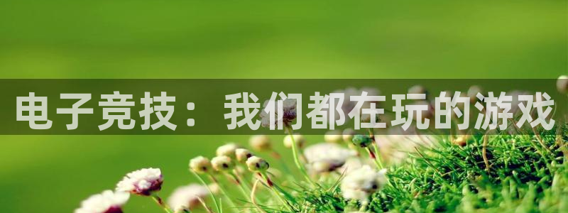 雷火电竞体育平台：电子竞技：我们都在玩的游戏