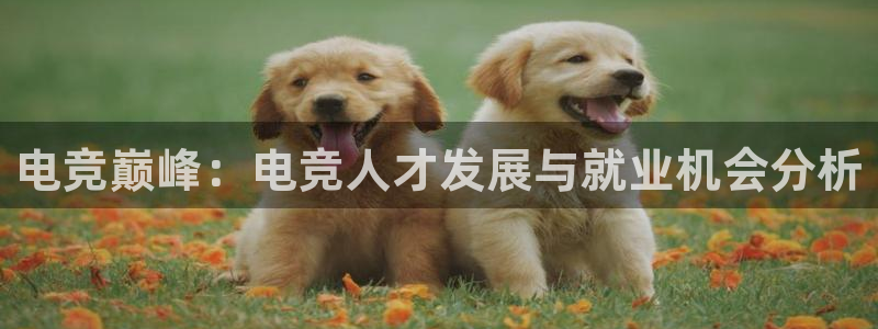 雷火电竞是黑台子吗：电竞巅峰：电竞人才发展与就业机会分析