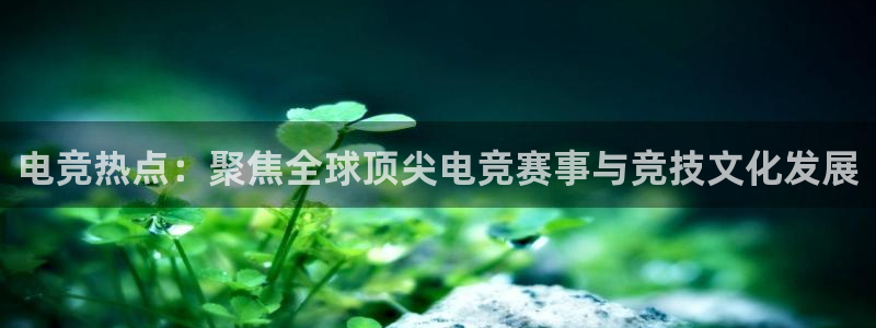 下载雷火电竞app：电竞热点：聚焦全球顶尖电竞赛事与竞技文化发展
