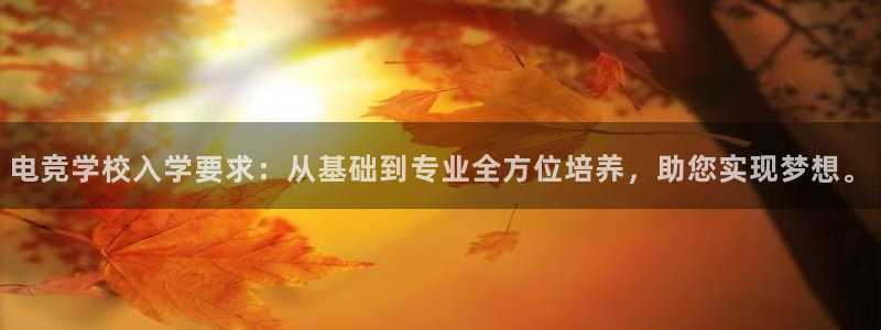 雷火电竞合法吗：电竞学校入学要求：从基础到专业全方位培养，助您实现梦想。