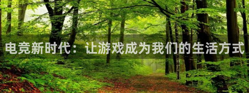 雷火电竞合法吗：电竞新时代：让游戏成为我们的生活方式