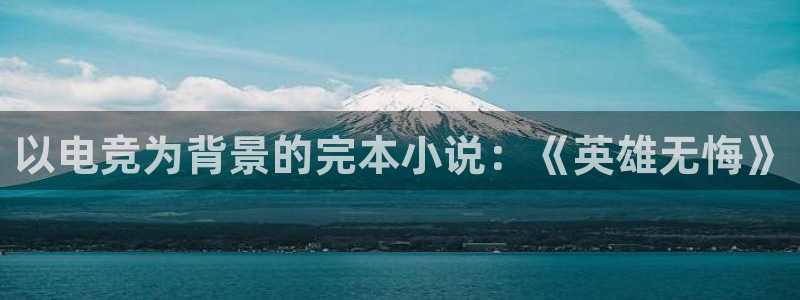 雷火电竞下载官网：以电竞为背景的完本小说：《英雄无悔》