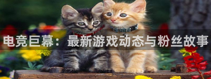 雷火电竞网：电竞巨幕：最新游戏动态与粉丝故事