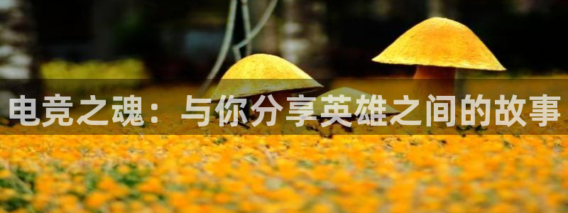 雷火电竞官网下载：电竞之魂：与你分享英雄之间的故事