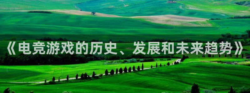 雷火电竞封号：《电竞游戏的历史、发展和未来趋势》