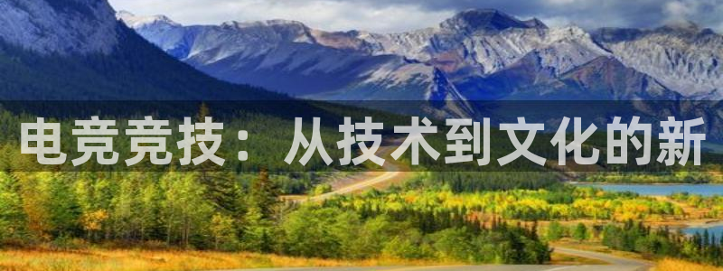 雷火电竞,亚洲电竞先驱：电竞竞技：从技术到文化的新