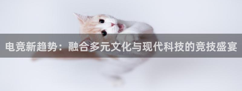 雷火电竞可靠吗：电竞新趋势：融合多元文化与现代科技的竞技盛宴