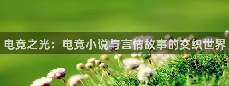 雷火电竞可靠吗：电竞之光：电竞小说与言情故事的交织世界