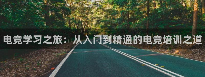 雷火电竞是什么：电竞学习之旅：从入门到精通的电竞培训之道