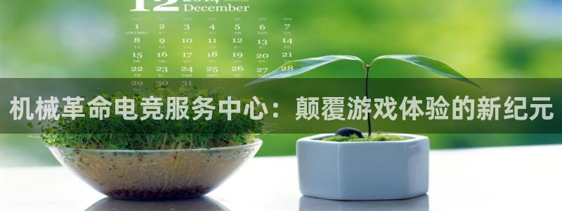 下载雷火电竞app：机械革命电竞服务中心：颠覆游戏体验的新纪元