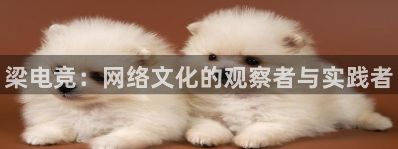雷火电竞官网登录：梁电竞：网络文化的观察者与实践者