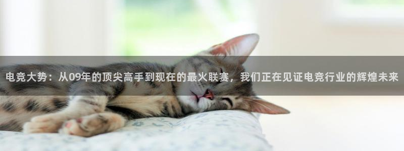 雷火电竞下载官网：电竞大势：从09年的顶尖高手到现在的最火联赛，我们正在见证电竞行业的辉煌未来